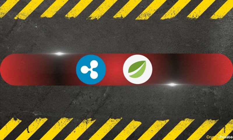 potential-bitfinex-$15b-xrp-‘partial-payments’-exploit-thwarted 