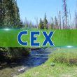 post-ftx-collapse,-december-ushered-in-optimism-for-centralized-crypto-exchanges:-ccdata