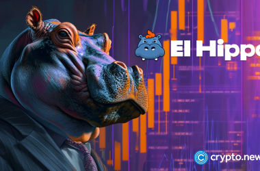 analysts:-hipp-is-undervalued-after-el-hippo-liquidity-lock