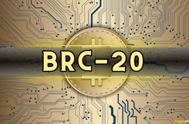 brc-20-token-trading-volume-skyrockets-10x-since-november-2023,-kaiko-reports