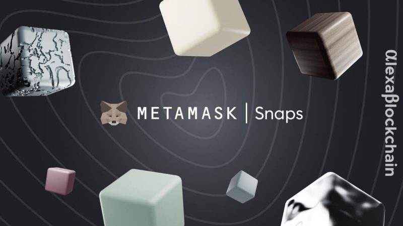 metamask-snaps-expands-its-reach-with-integration-on-hedera-network