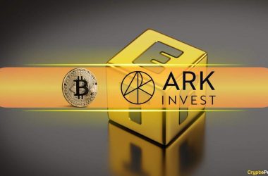 cathie-wood’s-ark-bolsters-position-with-$16m-purchase-of-its-bitcoin-etf:-report