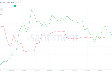 cardano-whales-make-surprise-$120m-move;-is-ada-price-at-risk? 