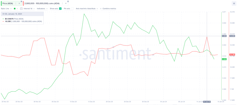 cardano-whales-make-surprise-$120m-move;-is-ada-price-at-risk? 