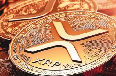 ripple-cto-breaks-down-xrp-distribution-and-who-controlled-99%-of-supply-at-genesis