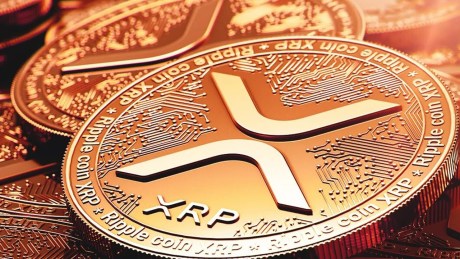 ripple-cto-breaks-down-xrp-distribution-and-who-controlled-99%-of-supply-at-genesis