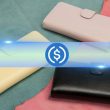 usdc-wallet-growth-soars-59%-despite-headwinds:-circle