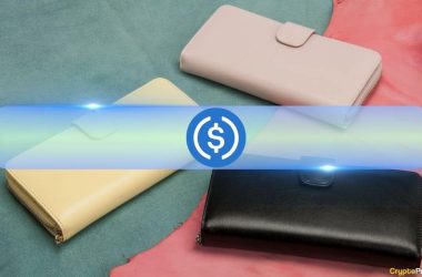 usdc-wallet-growth-soars-59%-despite-headwinds:-circle