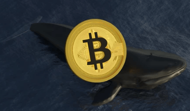 bitcoin-whale-carries-out-massive-sell-off-as-btc-price-suppression-continues