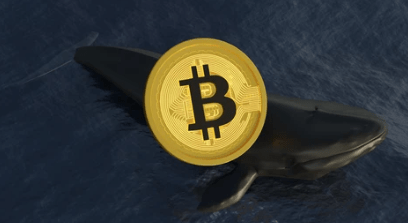 bitcoin-whale-carries-out-massive-sell-off-as-btc-price-suppression-continues
