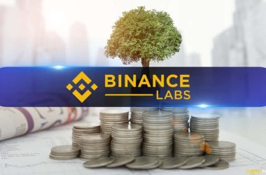 binance-labs-thrives-amidst-market-challenges-with-25-new-investments-in-2023