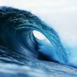 whales-go-wild:-cardano-transactions-surge-11%-–-price-hike-incoming?