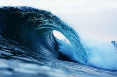 whales-go-wild:-cardano-transactions-surge-11%-–-price-hike-incoming?