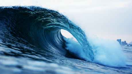whales-go-wild:-cardano-transactions-surge-11%-–-price-hike-incoming?