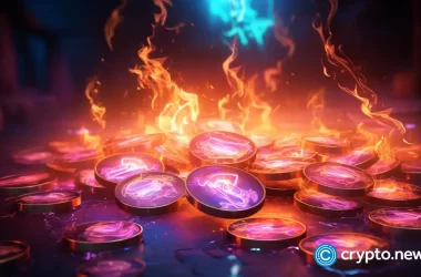 shiba-inu’s-burn-rate-up-by-6,000%;-cardano-and-borroe-finance-are-firm