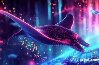 manta-gains-30%-in-24-hours
