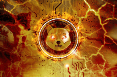 shiba-inu-on-fire:-over-12-million-shib-vaporized-–-impact-on-price