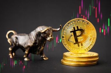 analyst-predicts-bitcoin-to-hit-$250,000-before-halving