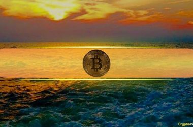 btc-price-soars-above-$42k-as-bitcoin-accumulation-wallets-now-worth-$68b-with-1.7m-btc