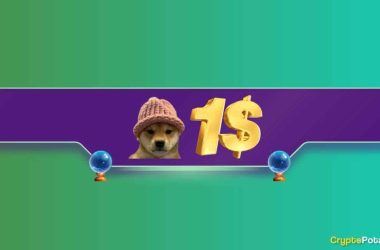 we-asked-chatgpt-if-solana-meme-coin-dogwifhat-(wif)-price-will-reach-$1-in-2024