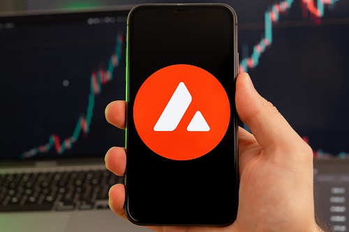 bitbot-picks-momentum-as-avalanche-leads-altcoin-recovery