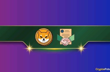 major-shiba-inu-(shib)-news:-team-reveals-ambitious-plans-for-the-future