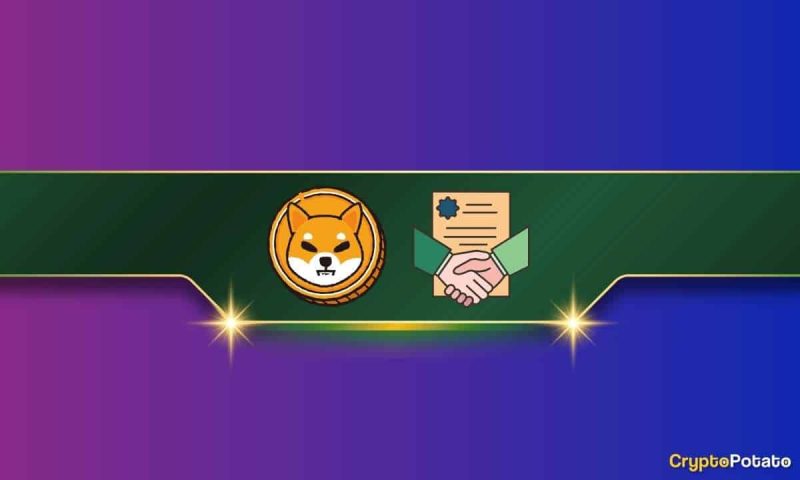 major-shiba-inu-(shib)-news:-team-reveals-ambitious-plans-for-the-future
