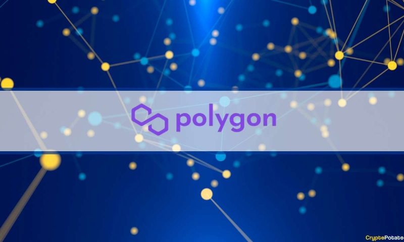 defi-regulation:-polygon-labs’-legal-team-pushes-for-occip’s-oversight