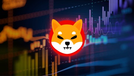 timeline-for-all-shiba-inu-projects-revealed-as-shib-price-readies-to-soar