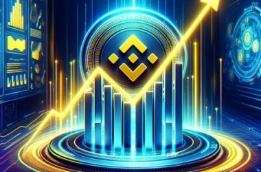 will-bnb-continue-to-drop-or-bounce-back-to-create-a-new-all-time-high?