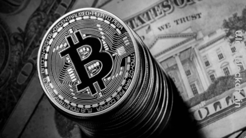 ai-and-bitcoin-reign-supreme,-but-what-lies-ahead-in-2024?