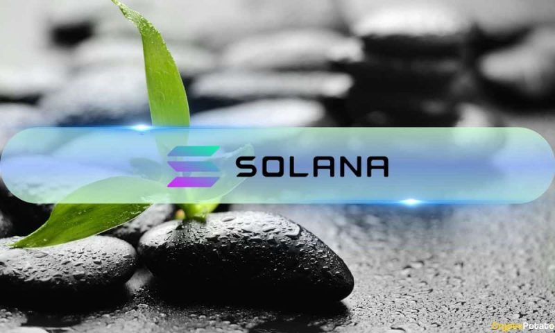 solana-investors-flock-back-with-$13m-inflows-beating-ethereum,-avalanche
