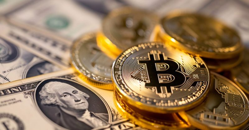 how-etfs-affected-bitcoin’s-supply-distribution-across-cohorts