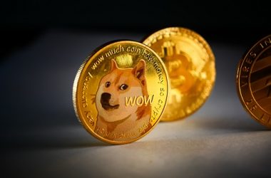 xrp,-doge-price-prediction-amid-memeinator’s-epic-presale