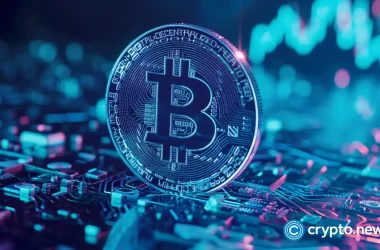 valkyrie-exec-predicts-fewer-bitcoin-etf-issuers-by-year-end