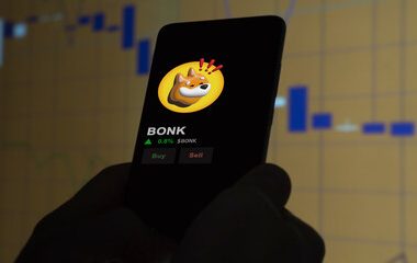 bonk-stays-alive-in-top-100-list-with-25%-single-day-rally-–-details