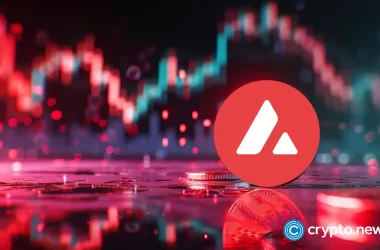 avalanche-and-dogecoin-investors-monitoring-pushd-presale