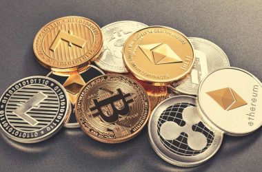 top-5-altcoins-to-watch-in-2024:-which-cryptocurrency-will-perform-best-in-the-next-bull-run?