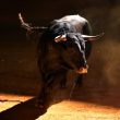 cryptoquant-founder-puts-$112,000-target-for-bitcoin-this-year