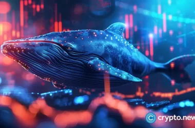 bitcoin-cash-gains-big,-deestream-presale-attracts-major-eth-whale