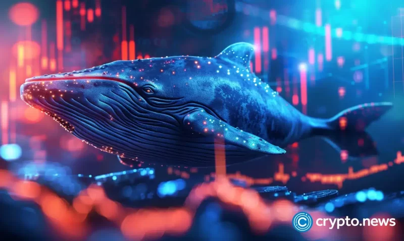 bitcoin-cash-gains-big,-deestream-presale-attracts-major-eth-whale