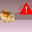 shiba-inu-(shib)-team-with-important-warning-to-its-community