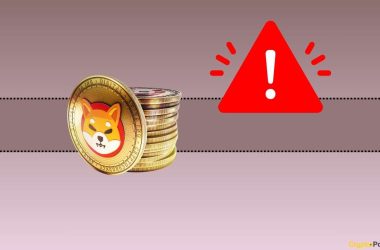 shiba-inu-(shib)-team-with-important-warning-to-its-community