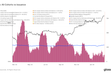 bitcoin-accumulation-hits-new-peak-ahead-of-upcoming-halving