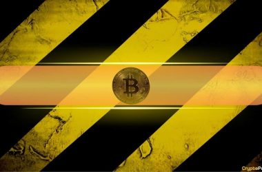 warning-signs-appear-as-this-key-metric-suggests-upcoming-corrections-for-btc,-altcoins-(analysis)