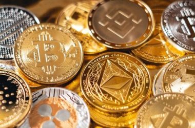 crypto-riches:-altcoin-holders-swim-in-profits,-but-there’s-a-potential-risk