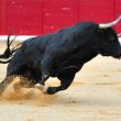 tron-price-prediction:-trx-silently-grinds-higher,-$0.18-next?