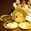 top-memecoins-face-pullback-amid-recent-market-rally