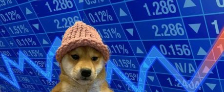 new-ath-for-wif?-analyst-thinks-dogwifhat-will-go-“turbo-parabolic”-soon