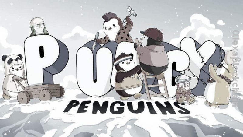 pudgy-penguins-launches.pudgy-web3-domain